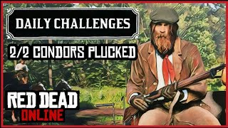 Daily Challenges  22 Condors Plucked I RDR2 Online Condor Location [upl. by Atinar]