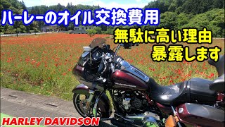 悲報【ハーレーオイル交換】残り2ℓしか入ってなかった…◉ HARLEY DAVIDSON FLTRX vol242 [upl. by Talanian]