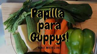 Papilla de Zanahoria para Guppys [upl. by Cirnek604]