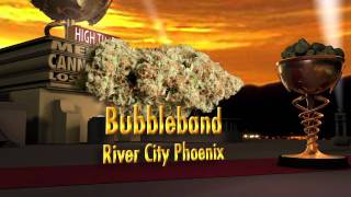 HIGH TIMES Medical Cannabis Cup in LA  Entries [upl. by Netfa480]