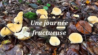 Une journée fructueuse [upl. by Atiuqahs]