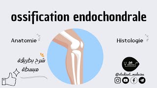 📍ANATOMIE  HISTOLOGIE °1ére année medecine°  شرح بطريقة مبسطة quot Lossification endochondrale quotquot [upl. by Aylat]