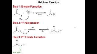 Lec7  Halogenation of the Alpha Carbon amp the Haloform Reaction [upl. by Terencio772]