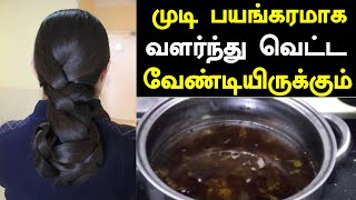 முடி பயங்கரமாக வளர்ந்து வெட்டவேண்டியிருக்கும்  Long Hair Growth Naturally in Tamil [upl. by Lectra412]