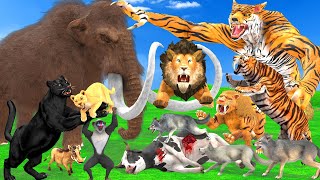 Giant Lion Fight Tiger Wolf Vs Sabertooth Tiger Attack Lion Cub Saved By Woolly Mammoth Epic Battle [upl. by Gilbertina]