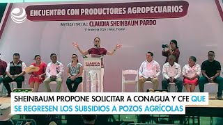 Sheinbaum propone solicitar a Conagua y CFE que se regresen los subsidios a pozos agrícolas [upl. by Ahtivak]