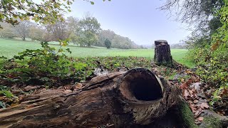 Walking about in Farleigh Woods Live 05112024  Mobile Stream 829 [upl. by Erhard367]