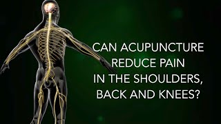 Can acupuncture reduce pain in the shoulders back and knees [upl. by Enialedam]