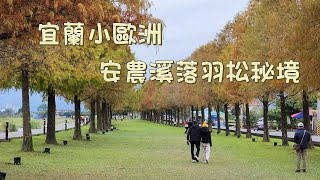 『宜蘭小歐洲』三星鄉安農溪落羽松秘境｜秒飛歐洲 [upl. by Lilla]