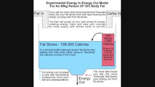 Why I Didnt Get Fat Eating 5000 Calories A Day Part 1 [upl. by Nosnorb]