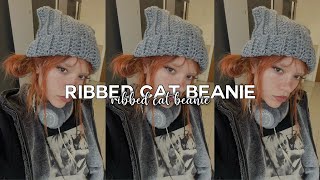 Ribbed Cat Beanie  the perfect first project — DayannasCreations [upl. by Anaele]