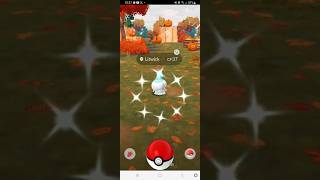 Shiny litwick ✨️✨️ pokemon shiny shinypokemon pokemongoshiny pokemongo [upl. by Eelan]