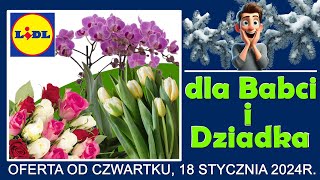 LIDL  Nowa Oferta od Czwartku 18012024  Kwiaciarnia Lidla  Tanie Kwiaty [upl. by Elaval705]