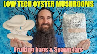 Low Tech Oyster Mushrooms  Recycled Paper Fruiting bags amp Sawdust Spawn Jars [upl. by Anairo]