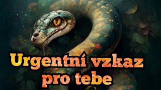 Urgentní vzkaz výkladkaret [upl. by Nicolina]