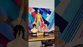 attackontitan figureunboxing Attack Titan and colossal titan Busts anime [upl. by Reider]