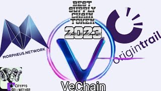 Vechain VET  Morpheus Network MNW  Origintrail TRAC Crypto  Whos BEST vet [upl. by Livesay936]