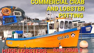 ULTIMATE COMMERCIAL CRAB AND LOBSTER POTTING [upl. by Bosch]