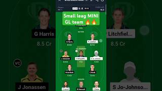 STW amp BHW WBBLDREAM 11 TEAM FANTASYTEAM SMALL LEAG dream11team ipl dream11ipl dream11fantasy [upl. by Auehsoj]