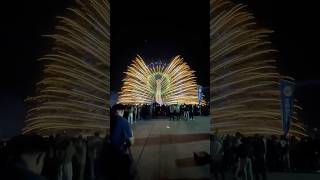 Butterfly fireworks 🦋 fireworks festival expo2020 shorts [upl. by Hellene]