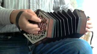 Accordion Tune [upl. by Kcirde]