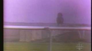 Secretariat Breeders Cup Segment 1996  A Look Back [upl. by Anilra180]