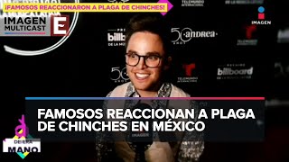 Plaga de chinches en México y París podría llegar a todo el mundo [upl. by Nageem]