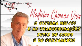 O sistema WeiPi e as transformações sutis do corpo e do pensamento  Acupuntura e Medicina Chinesa [upl. by Emory]