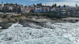 La Jolla Tide Pool area The Quest [upl. by Atiuqram]