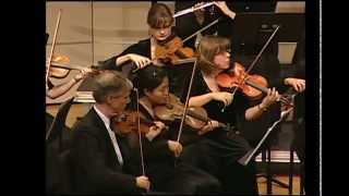 Camerata Chicago Beethoven Symphony 7 Movt 1 [upl. by Elisabet88]