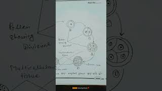 Plant Biotechnology Experiment Diagram shortvideo [upl. by Musser]