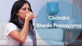 How to do Chandra Bheda Pranayama  Ventuno Yoga and You [upl. by Rehctelf]