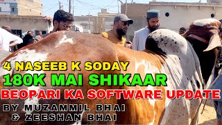 Bharpoor Bargaining Aur 4 Naseeb K Soday  Malir Mandi Mai Aj Beopari Ka Software Update Hua [upl. by Levine]