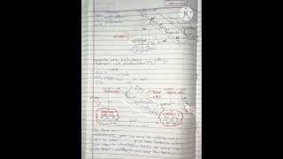 Cyclicampnoncyclic reaction light phosphorylation photosynthesisinhigherplants botanynotes pwnotes [upl. by Noid]