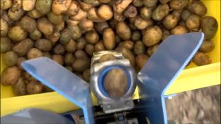 Spedo Potato Planter available at Everything Attachments [upl. by Sidran]