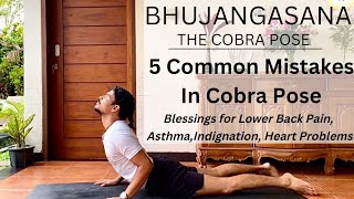 5 MISTAKES IN COBRA POSE  BHUJANGASANA  COBRA POSE   YOGA FOR ASTHMA BACK PAIN HEART PROBLEM [upl. by Ateekahs14]