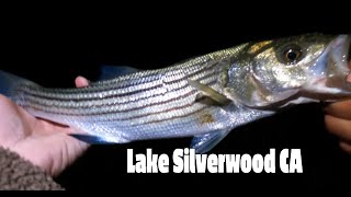 Silverwood Lake CA  Night Fishing  Near The Dam [upl. by Nylram714]