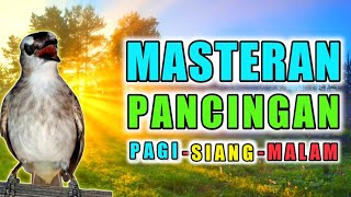 PANCINGAN DAN MASTERAN TRUCUK ROPEL BIAR TRUCUKAN BUNYI GACOR PAGI SIANG DAN MALAM [upl. by Akkinahs423]