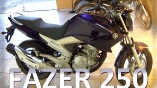 Yamaha Fazer 250  Modelo 2012 Roxa [upl. by Niamjneb999]