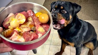 Unbelievable Rottweiler Puppy Goes RAW – You Wont Believe What Happens Next [upl. by Frannie]