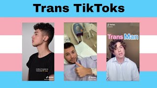 FTM Trans TikToks because you asked for it [upl. by Romo]