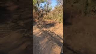 afternoon adventure through giraffe neck and twisty through the valley mtb ride nature [upl. by Notyard]