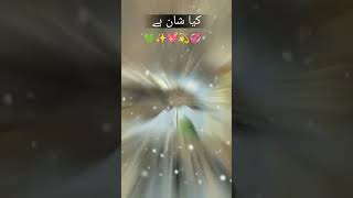 Wo mere Nabi haishorts viralshort viral madina youtubeshorts love dua nabiislamicstatus [upl. by Nylyaj167]