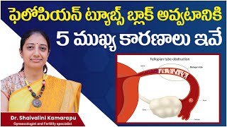 Top 5 Reasons Of Blocked Fallopian Tubes Blocked Fallopian Tubes Symptoms in Telugu  AMVI Hospital [upl. by Warchaw]