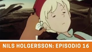 Nils Holgersson  Episodio 16 El Tesoro de Sunnerbo [upl. by Niltiak]