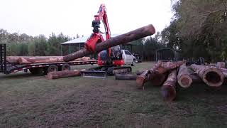 Mini excavator unloading logs  Rotobec grapple [upl. by Daney829]