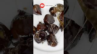 Chestnuts without an oven Few people know this trick 🍁 recipe [upl. by Oguh]