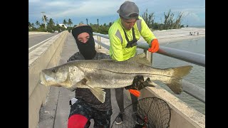 Kicked Outta Our Own Hotel 40quot Snook and Crazy Sanibel Lure Chew [upl. by Malorie]