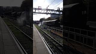 class66 pulling into Southend Victoria from shenfield 111124 train freighttrain trainspotting [upl. by Okiruy879]