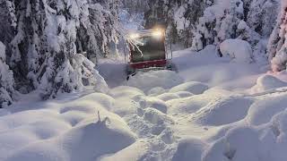 Snow Rabbit 3 in woods outside Oslo Norway [upl. by Eseeryt416]